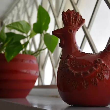 Bed & Breakfast Casa Morgana Olbia