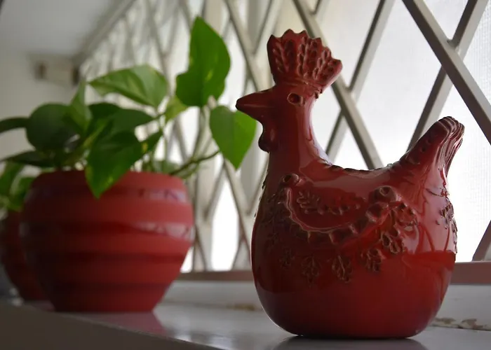 Bed & Breakfast Casa Morgana Olbia